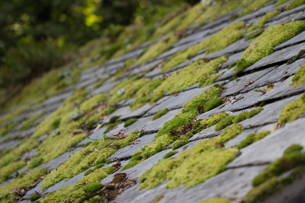 3 Factors to Help Determine if Your Roof Requires an Upgrade