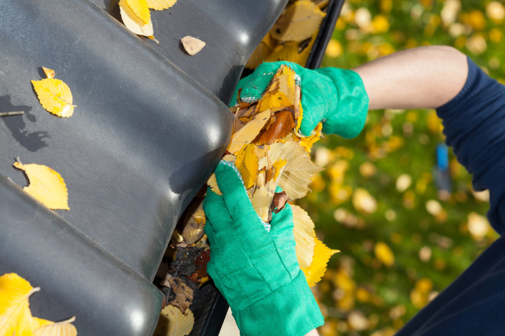 3 Gutter Cleaning Tips for the Fall