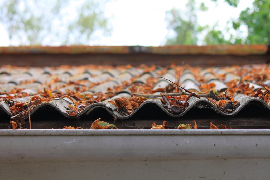 4 Questions You Need to Ask Before Replacing Your Gutters