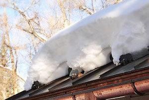 Metal roof snow guard